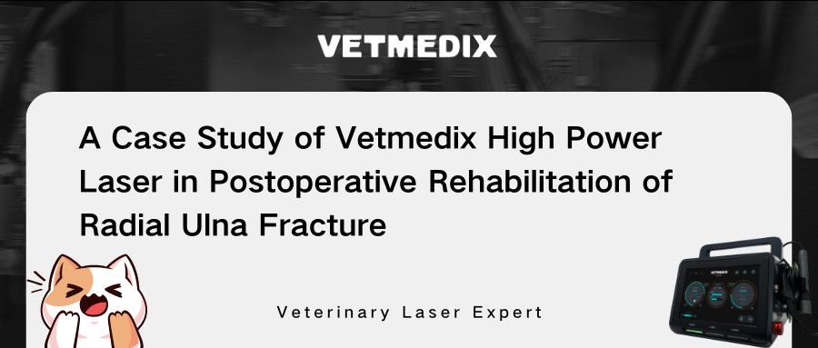 WetMedix केस सामायिकरण rad रेडियल उलना फ्रॅक्चरच्या पोस्टऑपरेटिव्ह पुनर्वसनात उच्च-शक्ती लेसर थेरपी